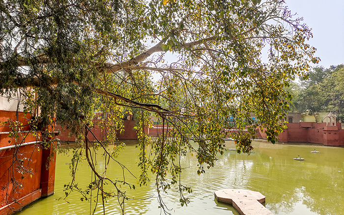 Pili Pokhar - Barsana